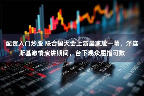 配资入门炒股 联合国大会上演最尴尬一幕,泽连斯基激情演讲期间,台下观众屈指可数