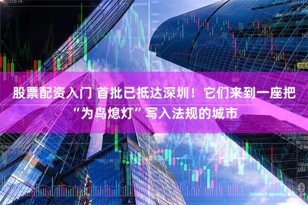 股票配资入门 首批已抵达深圳！它们来到一座把“为鸟熄灯”写入法规的城市